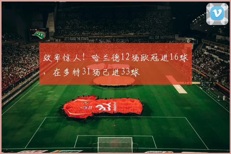 效率惊人！哈兰德12场欧冠进16球，在多特31场已进33球